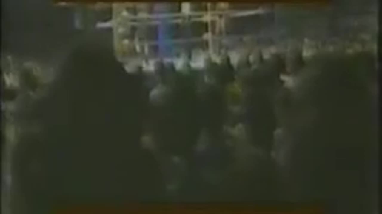 WWF Maple Leaf Wrestling Dec 22 1984