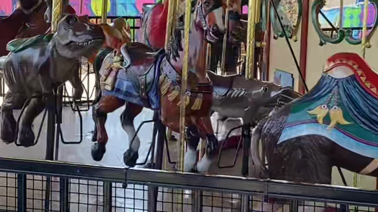 Daughter Not Impressed With Carousel Ride