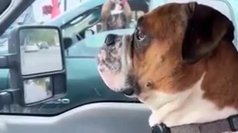 Waiting for the light to change...