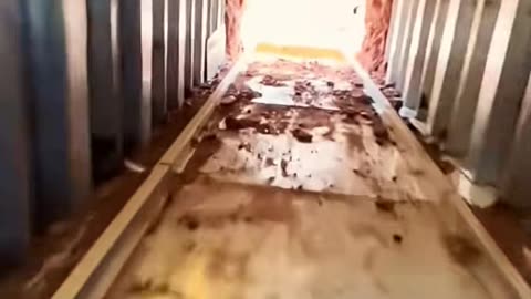 ✨💯 Transform Your Daily Routine With This Brilliant Hack! | LifeHacksDaily