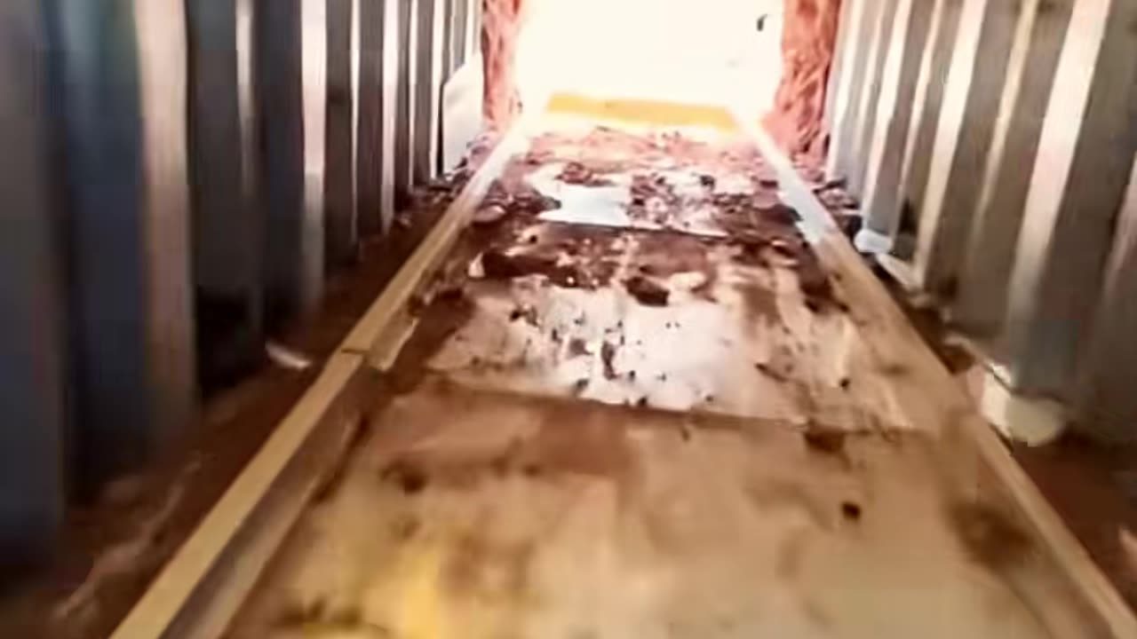 ✨💯 Transform Your Daily Routine With This Brilliant Hack! | LifeHacksDaily