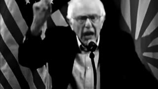 Bernie the red sends a message to President trump