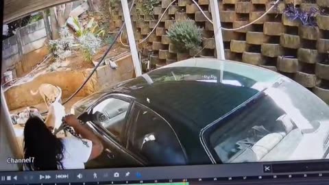 A South Afrikan burglar intense meeting