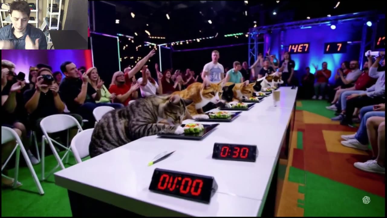 The Cats Attempt The Vegan Sushi Eating Contest Fake Funny Parody Video With Live Commentary