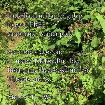 Expanding Love | Path and Tarot Reading