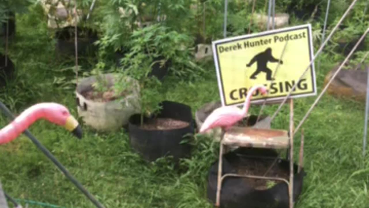 Derek Hunter 07/25/25 WMAL app Alec Baldwin speaks at Comic Conn & camerawoman dead