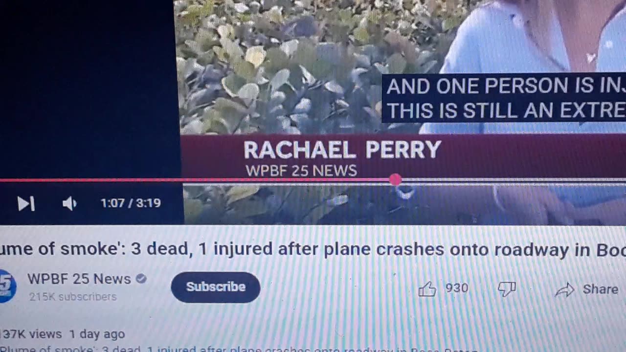 GANGSTALKING SIMULATION AIR PLANE CRASH