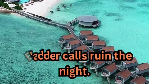 Ancient Sleeping Techniques#HotNightFix 🔥 #CoolSleep 😴 #PeacefulDreams 🌙 #NoSweat 🛏️ #ChillMode ❄️