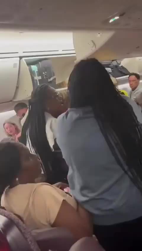 Spitfire - I will never understand this behavior. Ever.