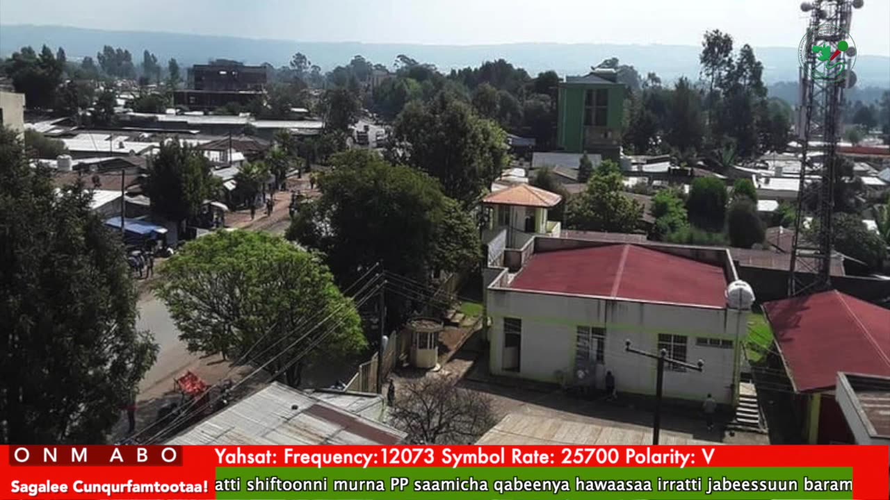 Oduu Ganama ONM-ABO Fulbaana 12-2025 itti dhiyaadhaa!