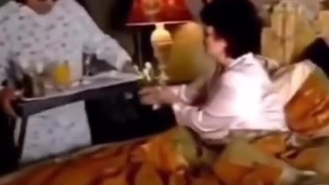 Ozzy7