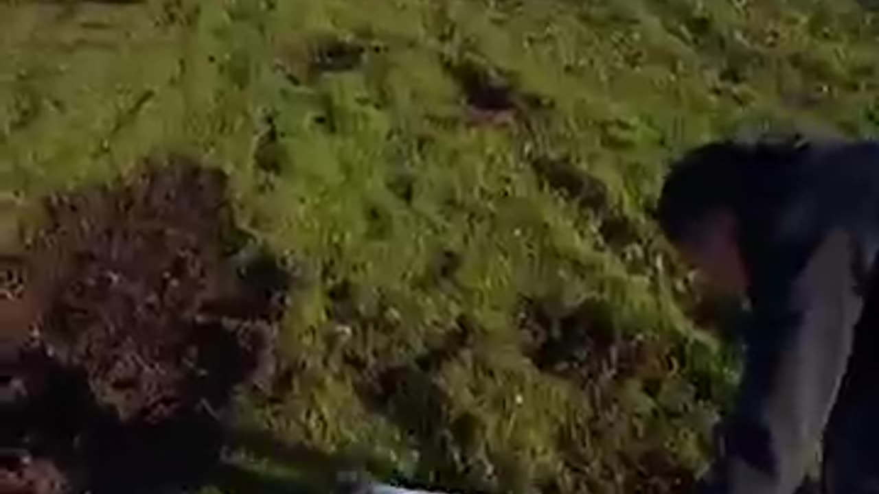 Inside the cockpit before emergency landing ｜ 9 News Australia