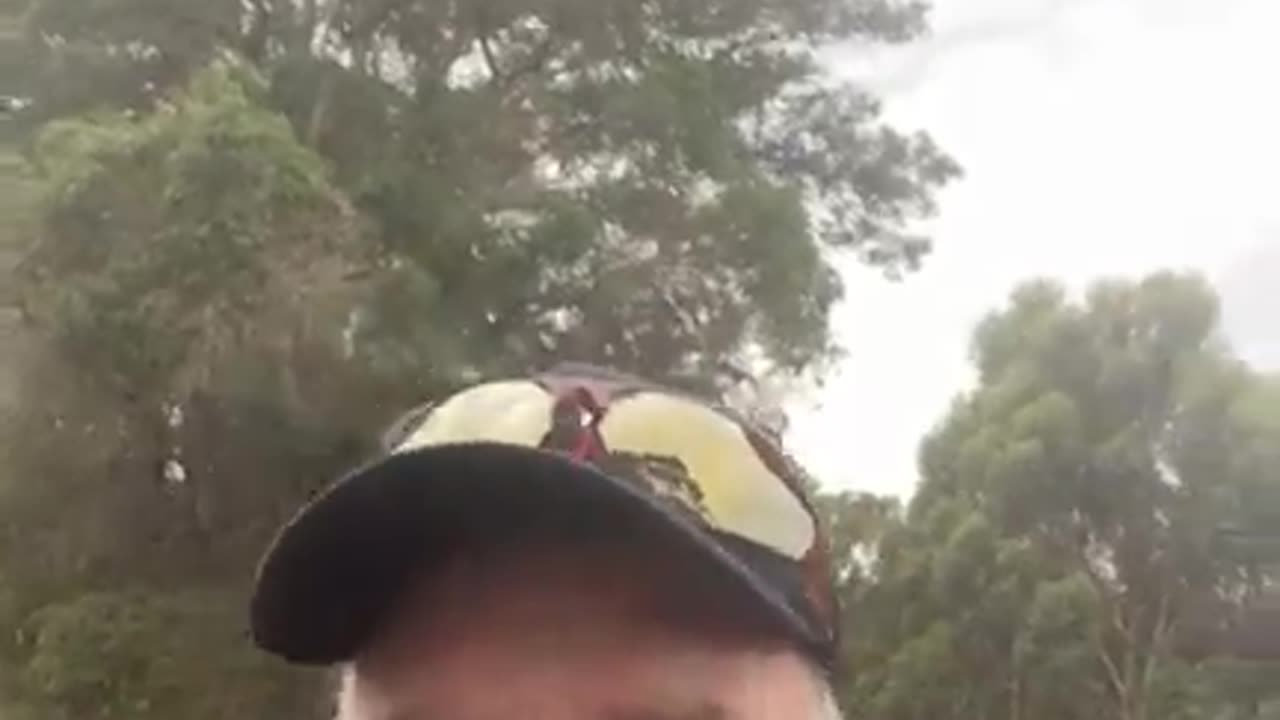 Part 1 - Farmer returns home