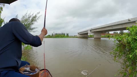 Walleye Fly Fishing in River Sandbars