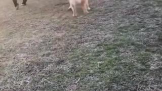 Good friends