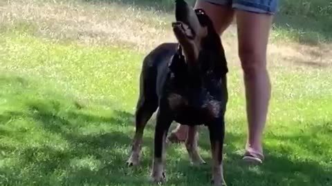 Woe Day 121. I am in the ark. Waiting for GOD to open the Door for a spring/summer Pentecost rapture