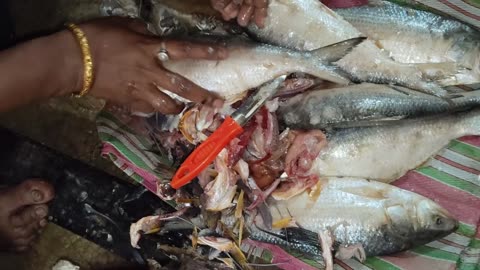 today fish market to purches too many items fish