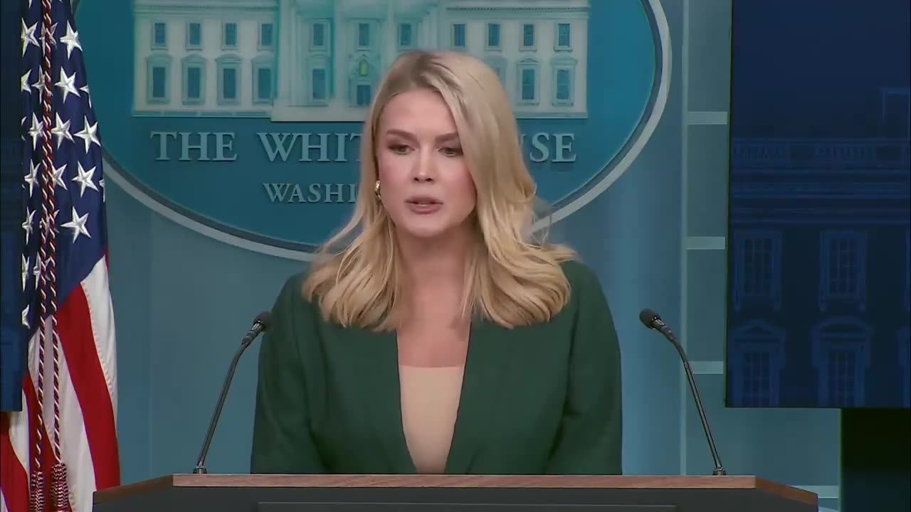 Karoline Leavitt throws down on Democrats and the media over Signal breach