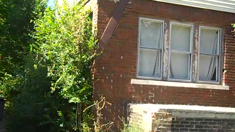 14935 SORRENTO ST shea show