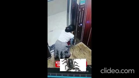 Be careful while using elevator with a kid...
