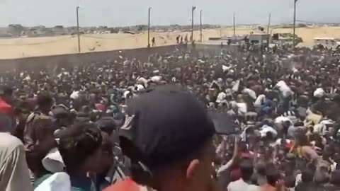 Gazans crowd into GHF ‘distribution centres’ out of sheer desperation
