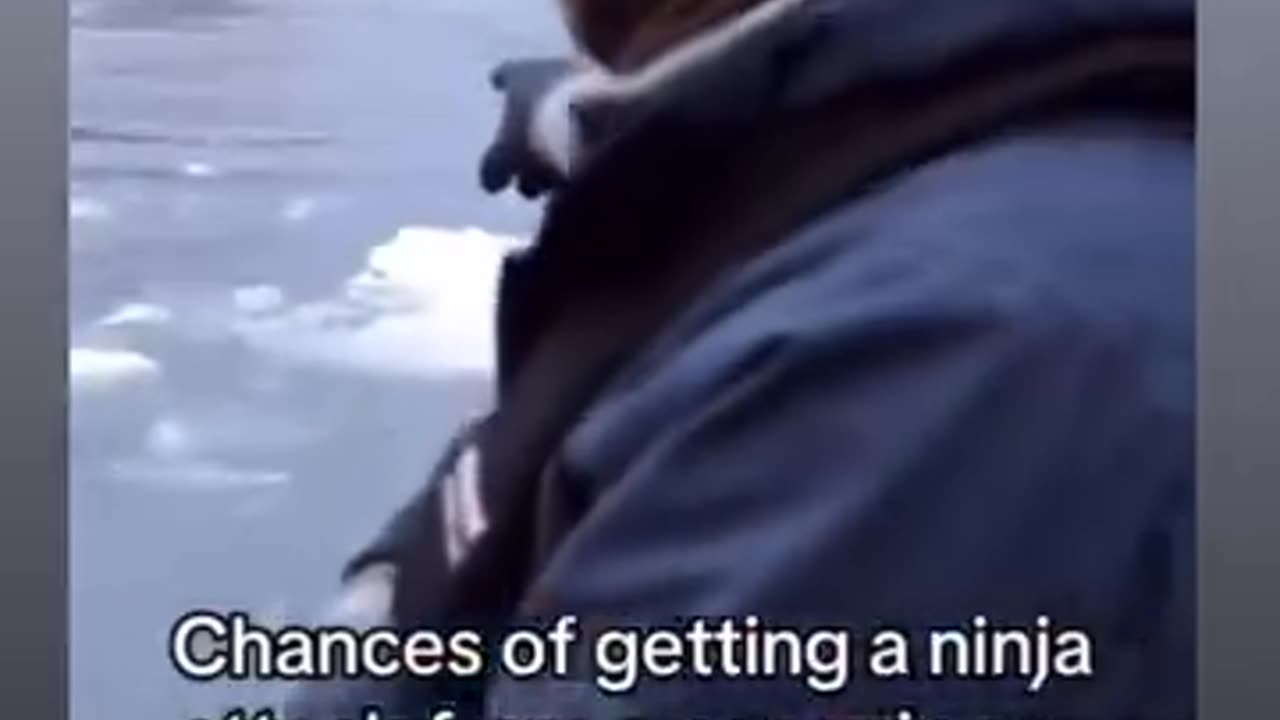 ninja penguin