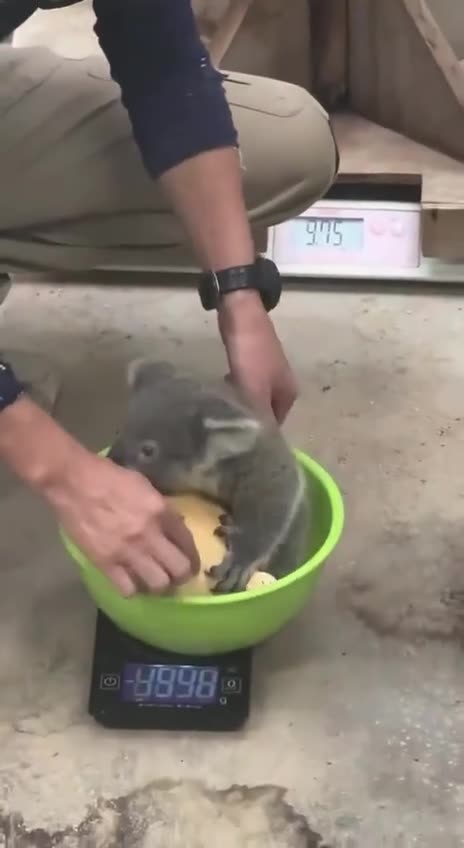 Appointment for baby weighing 😊