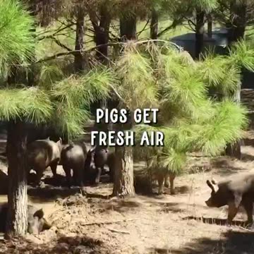 Educational Purposes Only..!