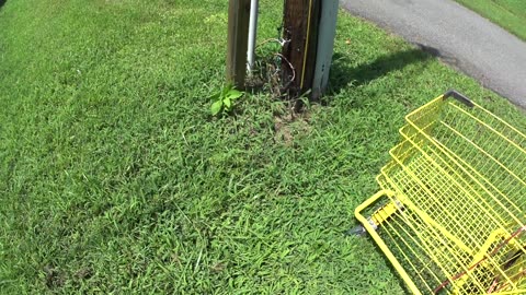 """VERIZON"""" GET OUT HERE NOW AND TRIM THE GRASS AROUND THAT POLL!!!