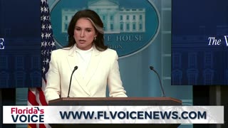 Tulsi Gabbard Confirms Obama Has Been Criminally Referred For Prosecution