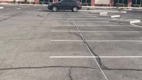 I Tried to Prove the Sun Is Local… It Didn’t Go As Planned