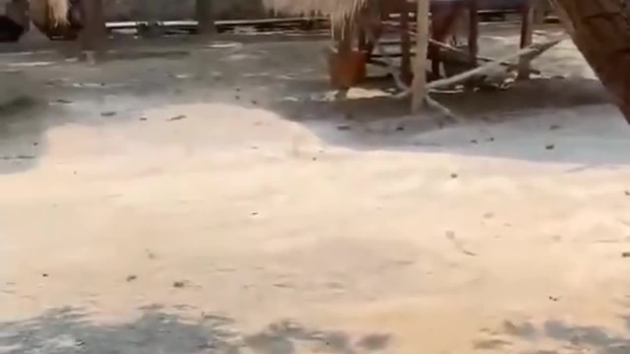 The Violent Earthquake of 7.7 that destroyed!!!