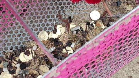 Beach Cleanup Finds Piles of Coins
