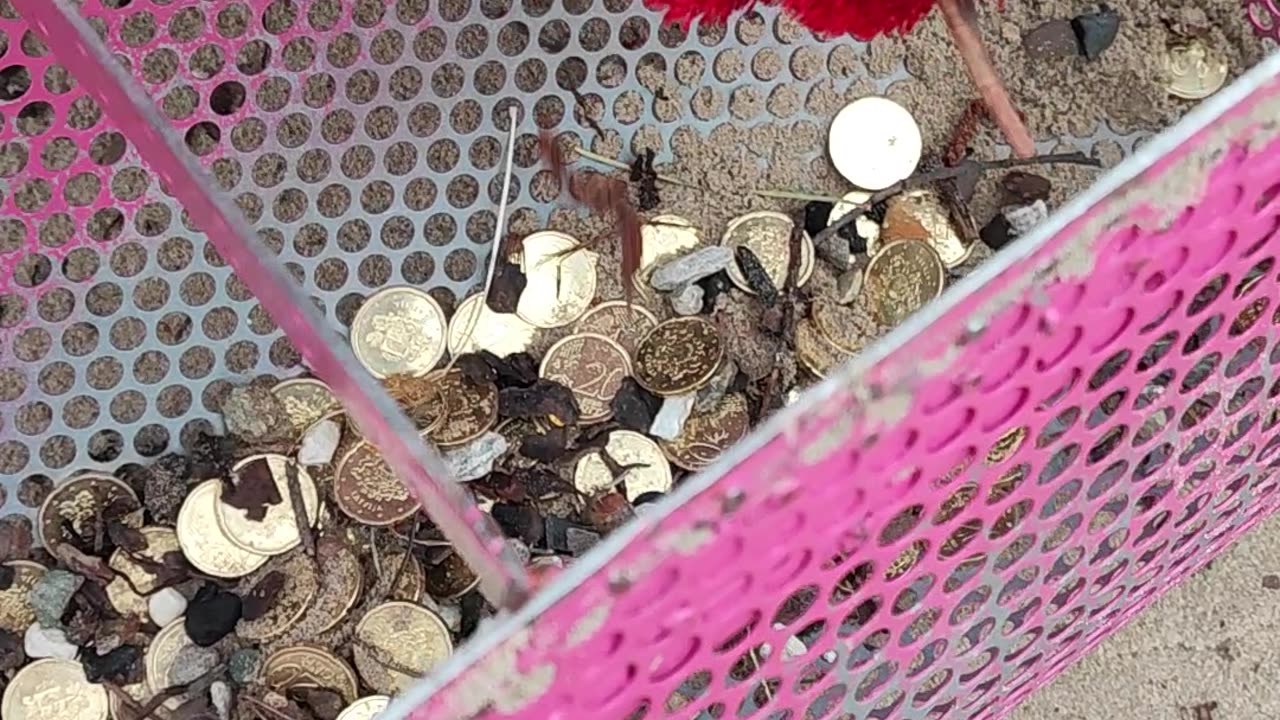 Beach Cleanup Finds Piles of Coins