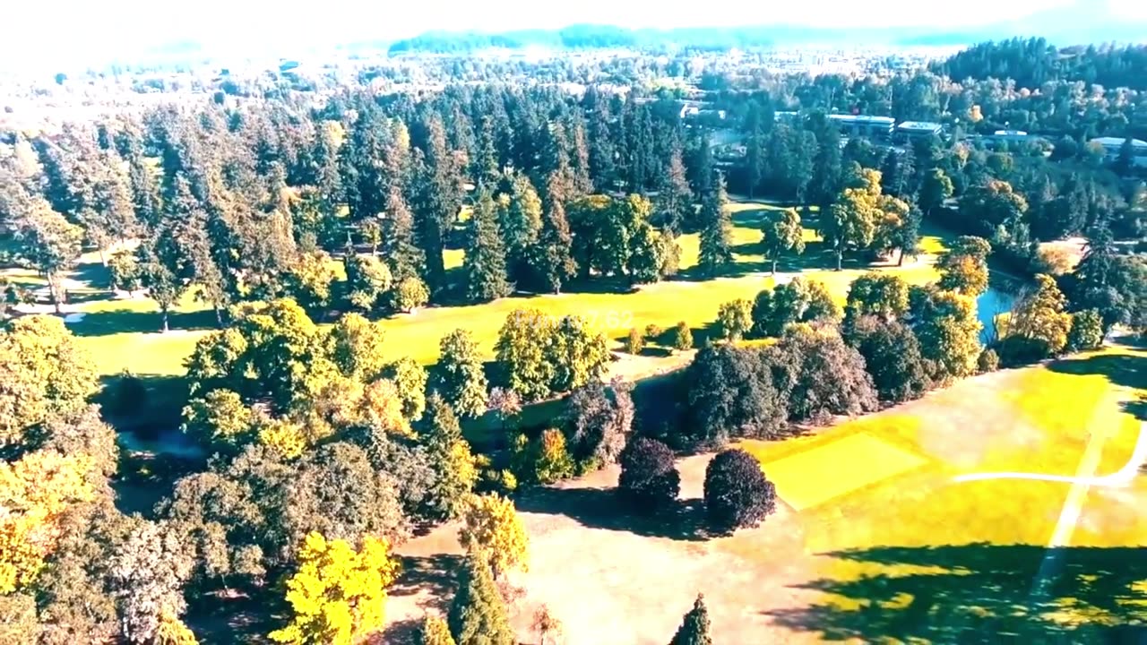 No Copy, Just Original Me