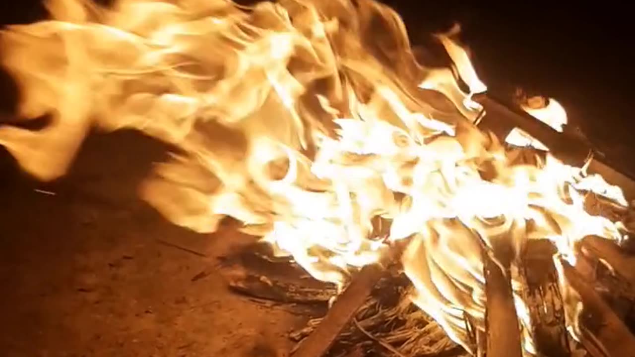 Daily Horoscope | Aries 🌟