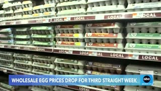 "GOOD NEWS": Wholesale egg prices continue to fall — dropping for three straight weeks