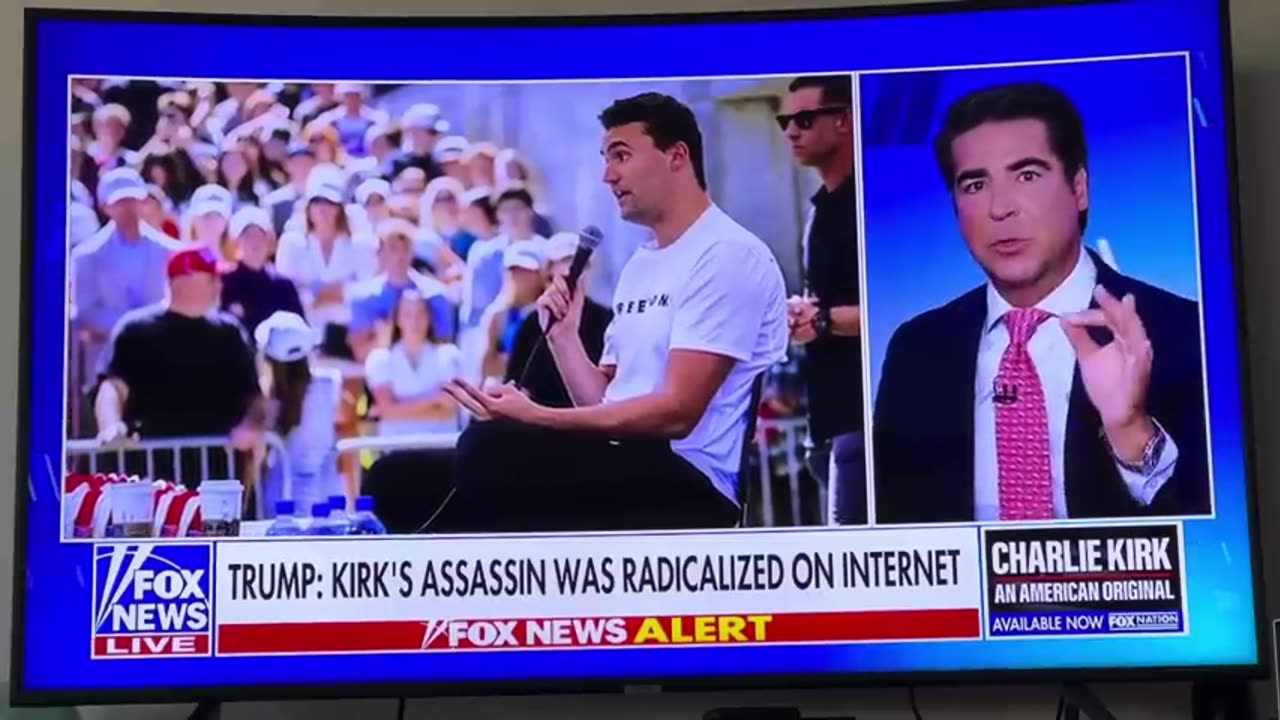 Greg Gutfeld BODY SLAMS idiott Jessica Tarlov!!!!! She is clueless!