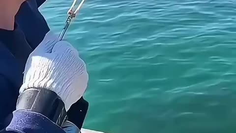 A real spider fisherman appears! An unimaginable fishing method
