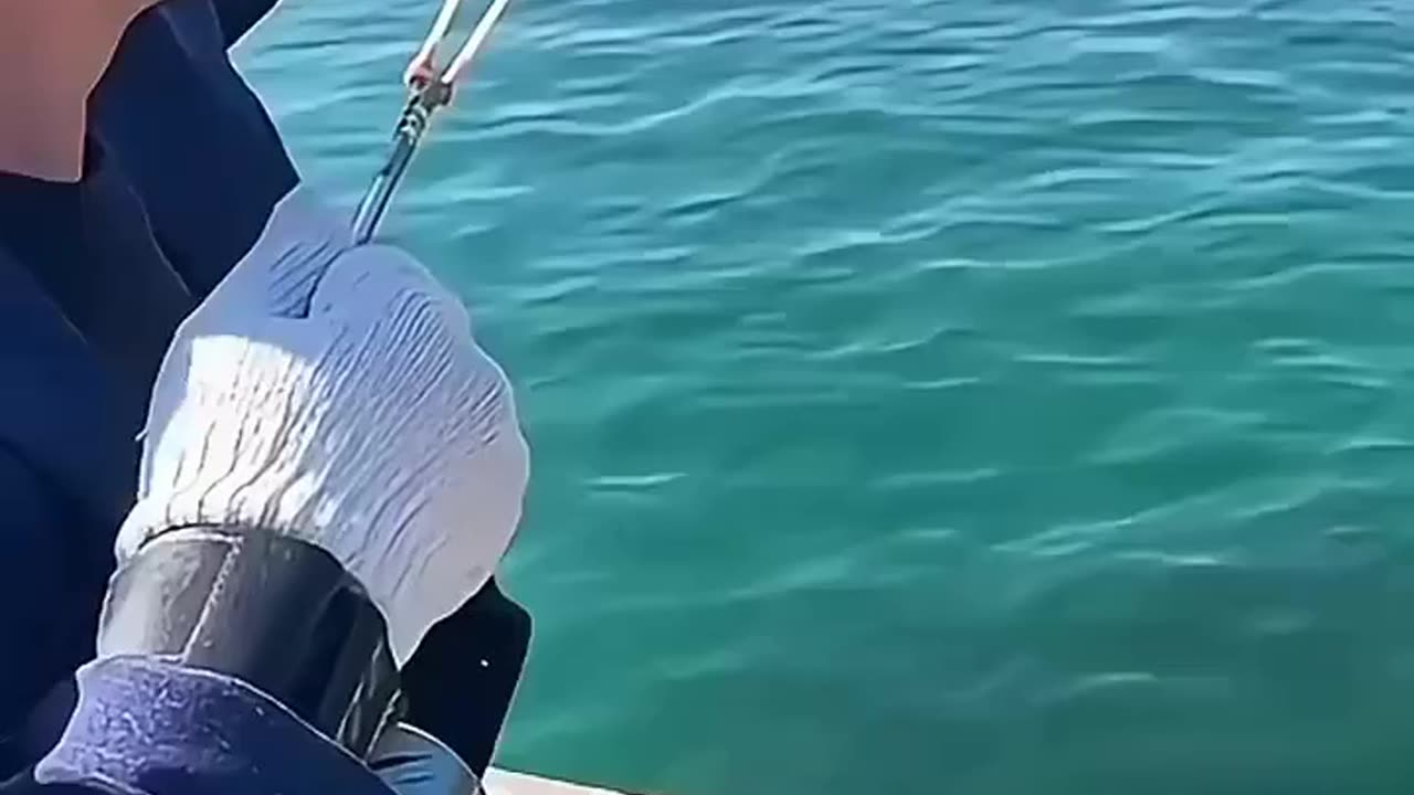 A real spider fisherman appears! An unimaginable fishing method