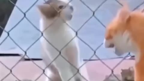 My God you have awful breath