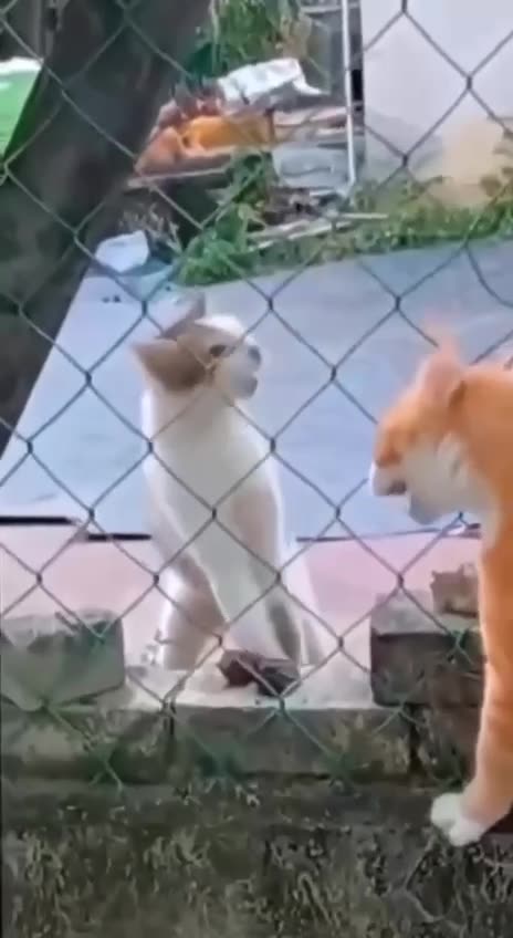 My God you have awful breath