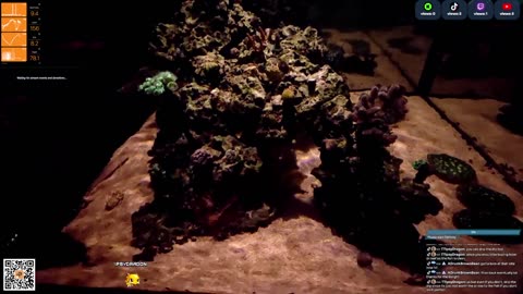 24/7 Real Live Reef Stream