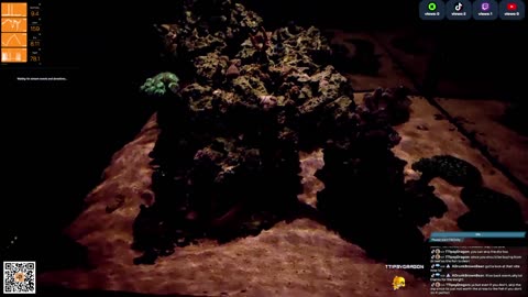 24/7 Real Live Reef Stream