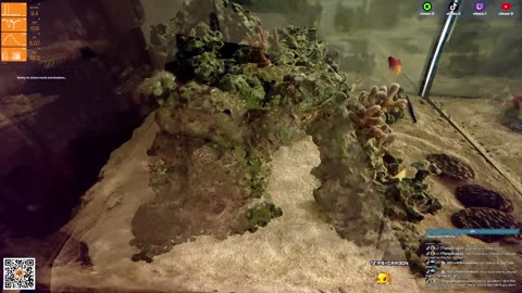 24/7 Real Live Reef Stream
