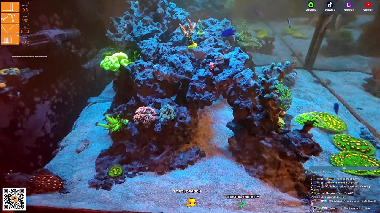24/7 Real Live Reef Stream