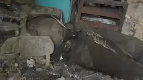 Ukraine war combat footage 10/21/25