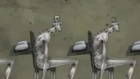 The Education (Indoctrination) System