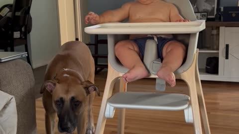 The Ultimate Scream Off of Baby and Dad