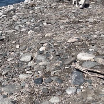 Psalm 15 #God #Jesus #prayingpsalms